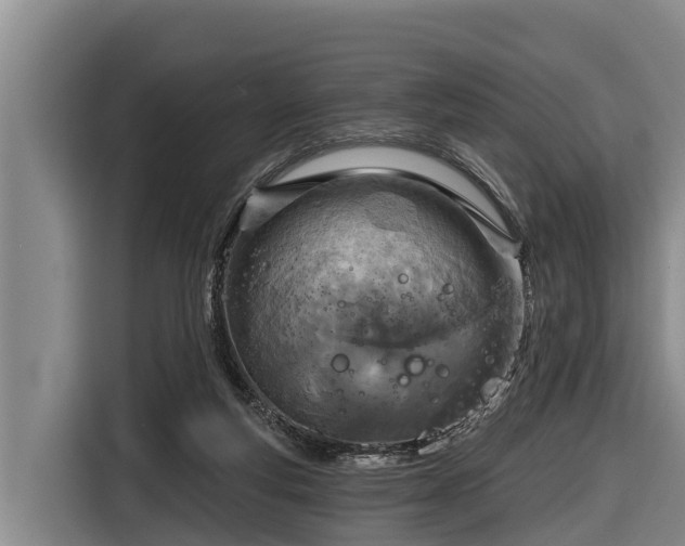 X0000116810163200912241228