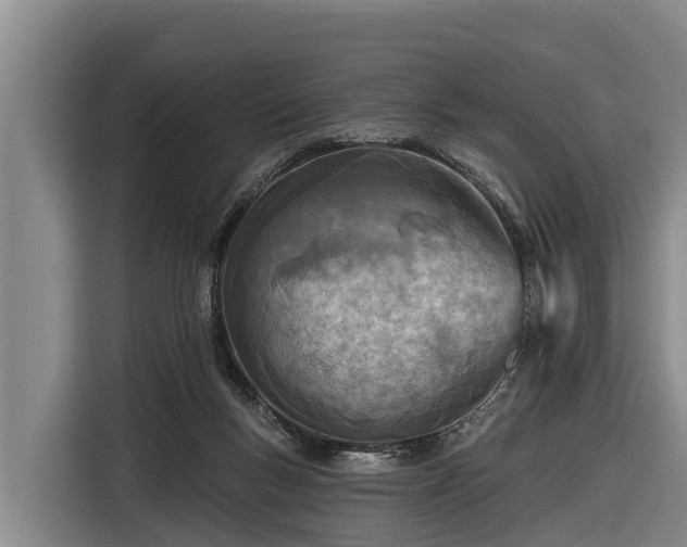 X0000116810167200912241228