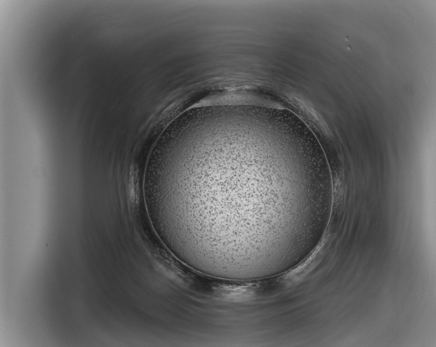 X0000116810170200912241228