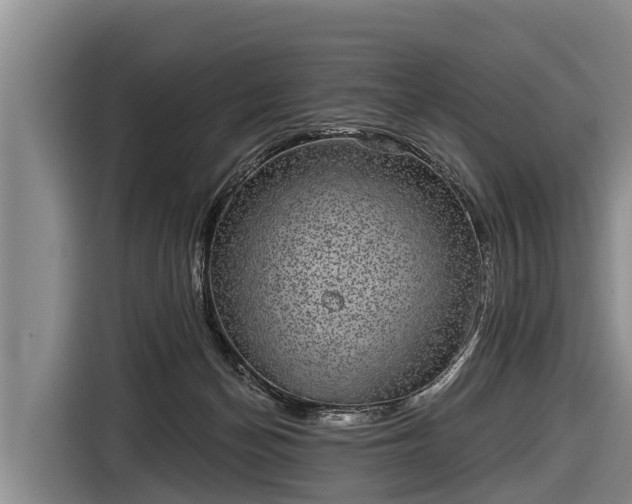 X0000116810174200912241228