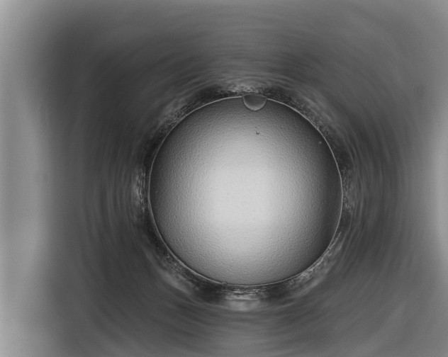 X0000116810175200912241228