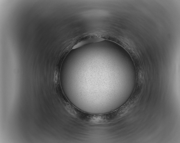 X0000116810177200912241228