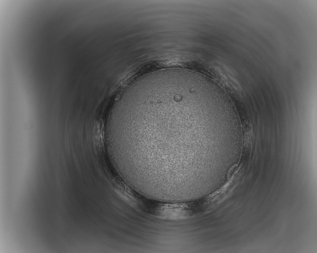 X0000116810179200912241228