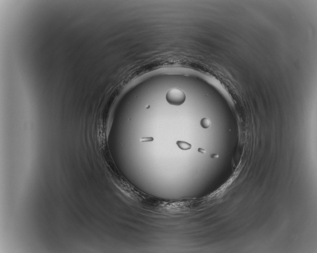 X0000116810186200912241228