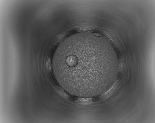 X0000116810187200912241228