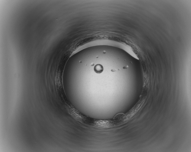 X0000116810189200912241228