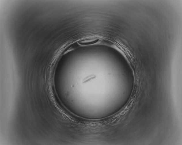 X0000116810193200912241228