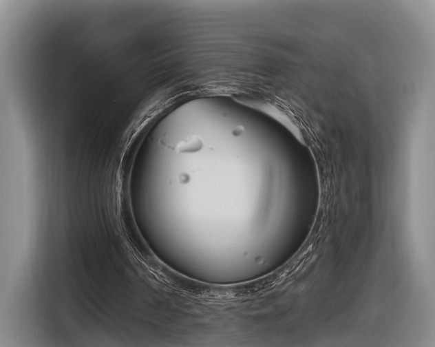 X0000116810194200912241228