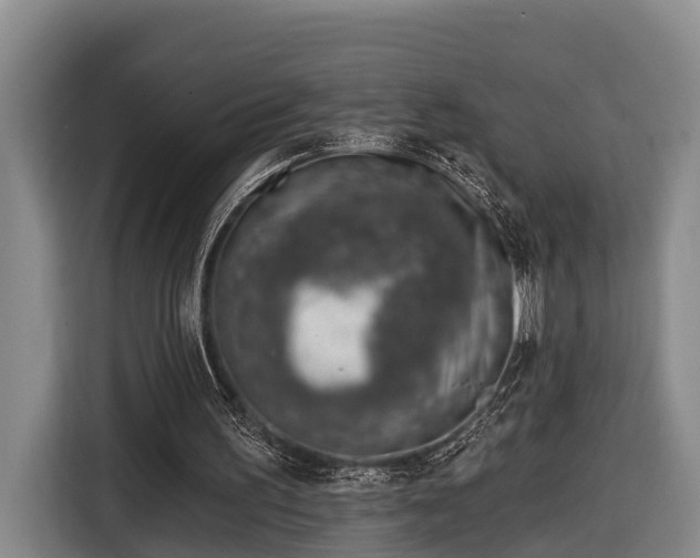 X0000116810195200912241228