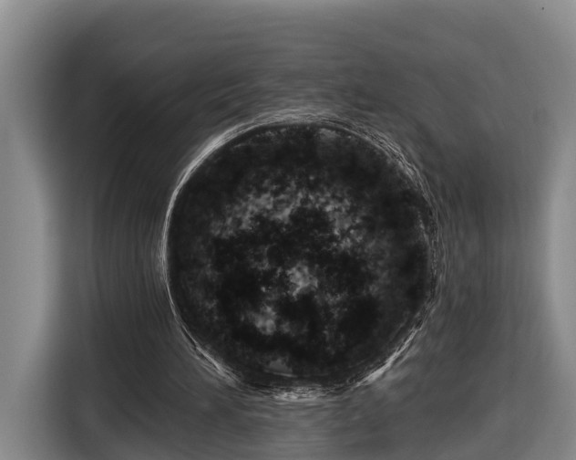 X0000116810196200912241228