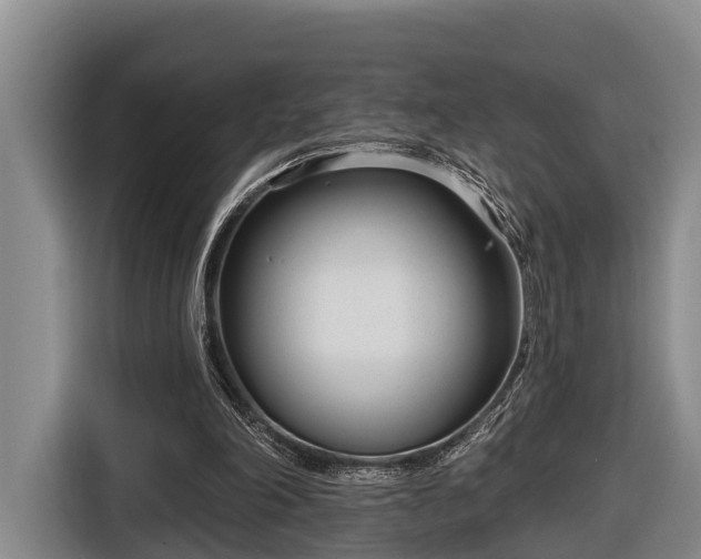 X0000116810198200912241227