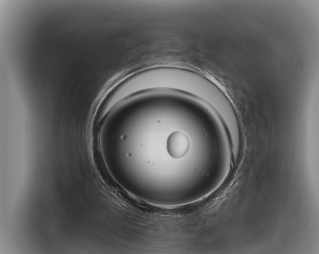 X0000116810199200912241227