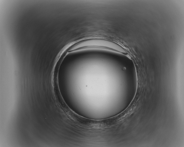 X0000116810200200912241227