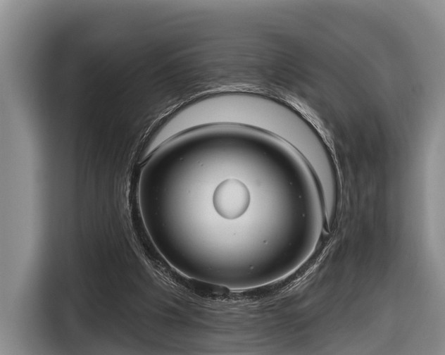 X0000116810201200912241227