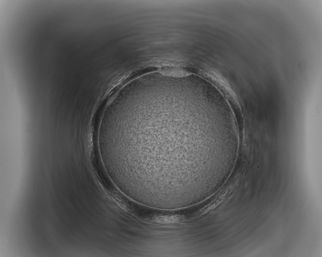 X0000116810202200912241227