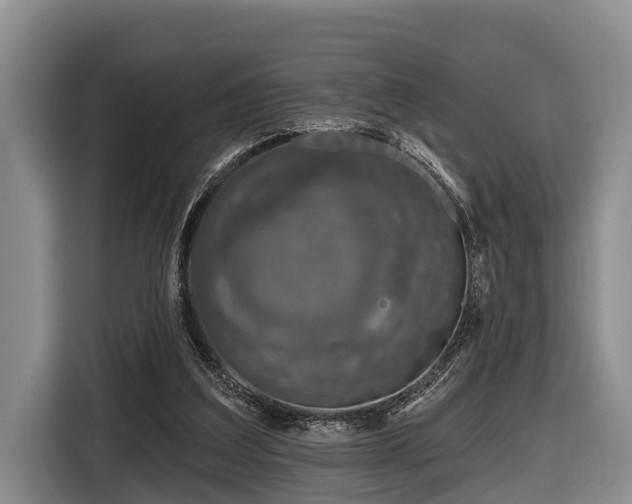 X0000116810203200912241227