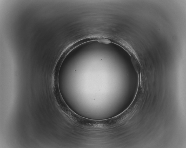 X0000116810204200912241227