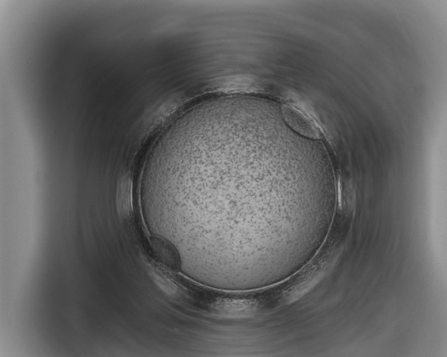 X0000116810205200912241227