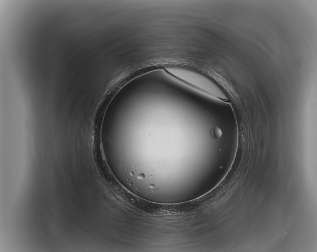 X0000116810207200912241227