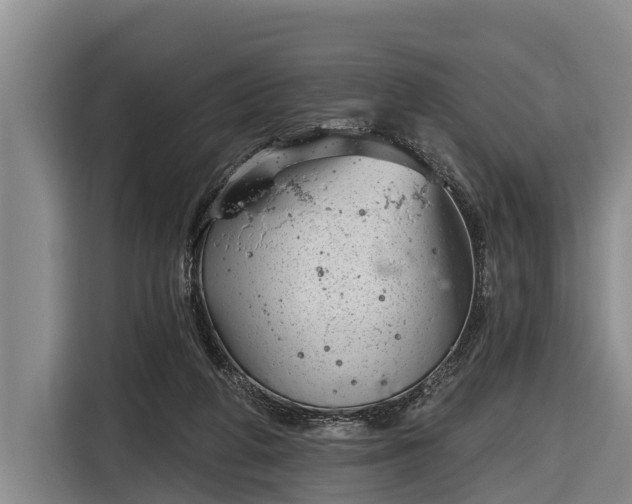 X0000116810210200912241227