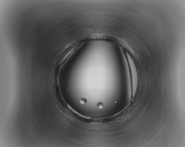 X0000116810211200912241227