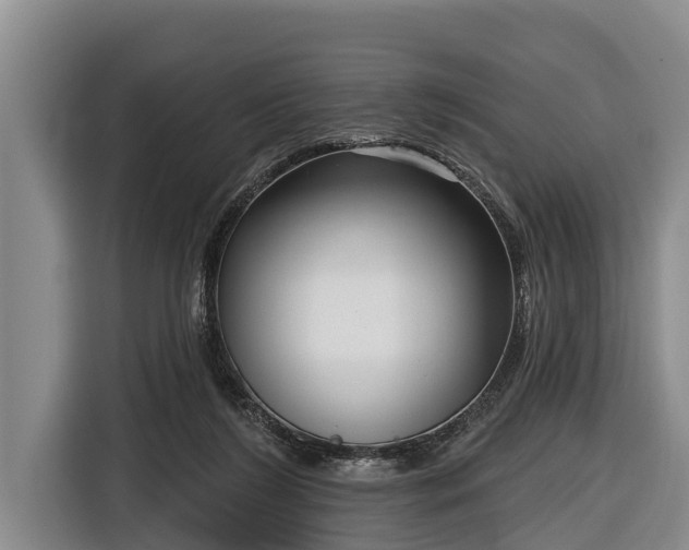 X0000116810212200912241227