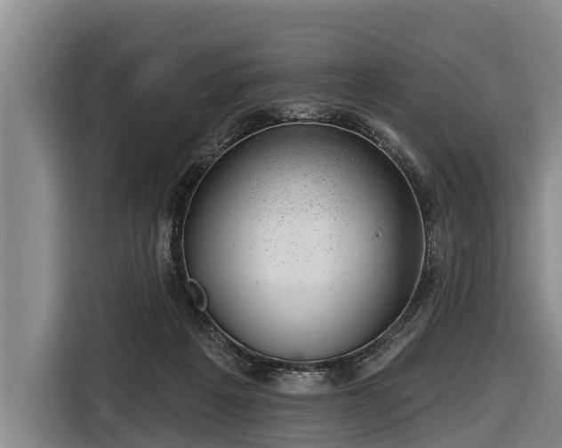 X0000116810217200912241227