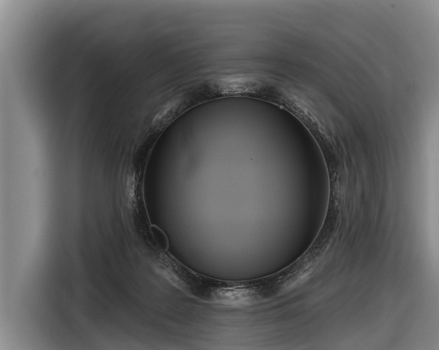 X0000116810219200912241227