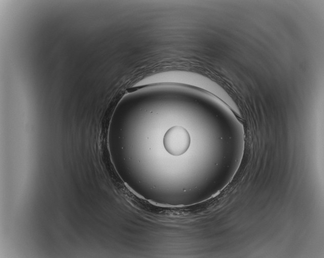 X0000116810223200912241227