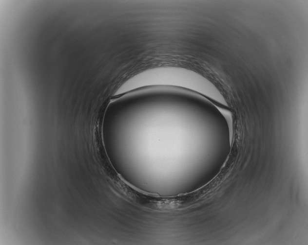 X0000116810225200912241227