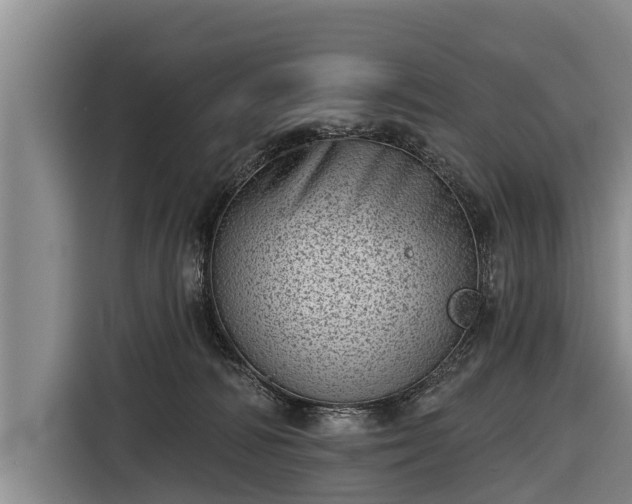 X0000116810226200912241227