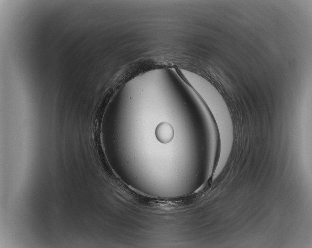 X0000116810229200912241227