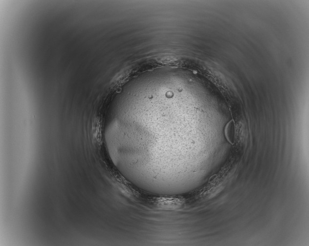 X0000116810234200912241227