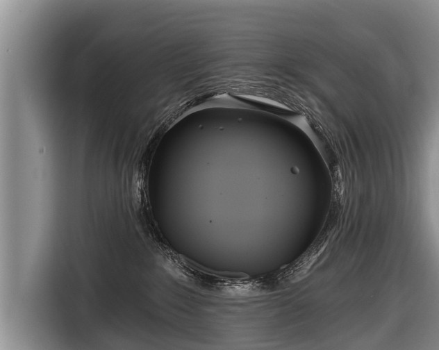 X0000116810235200912241227