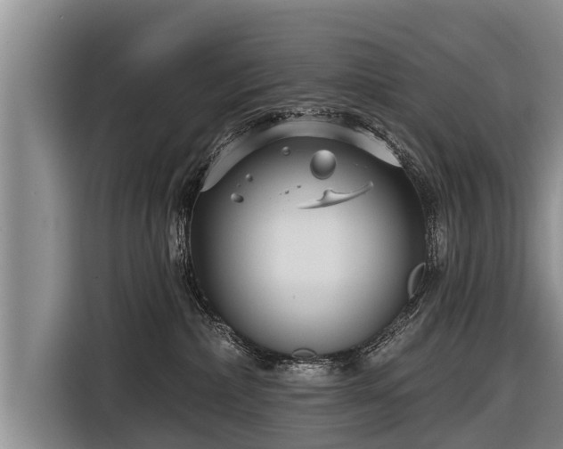 X0000116810236200912241227