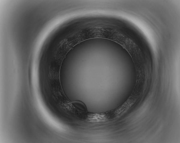 X0000116810239200912241227