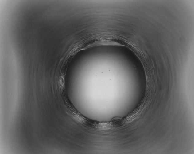 X0000116810240200912241227