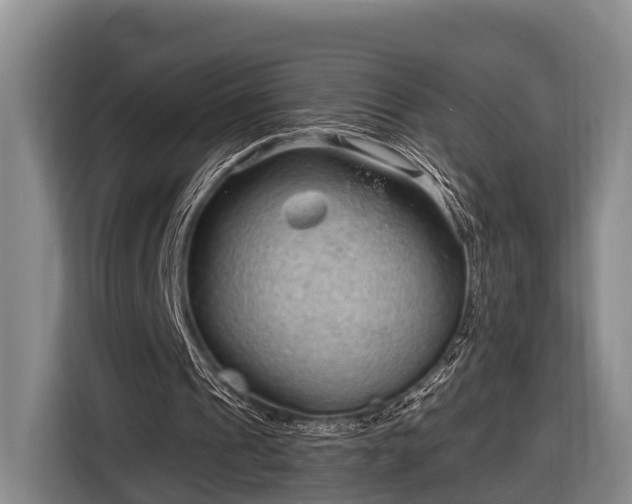 X0000116810241200912241226