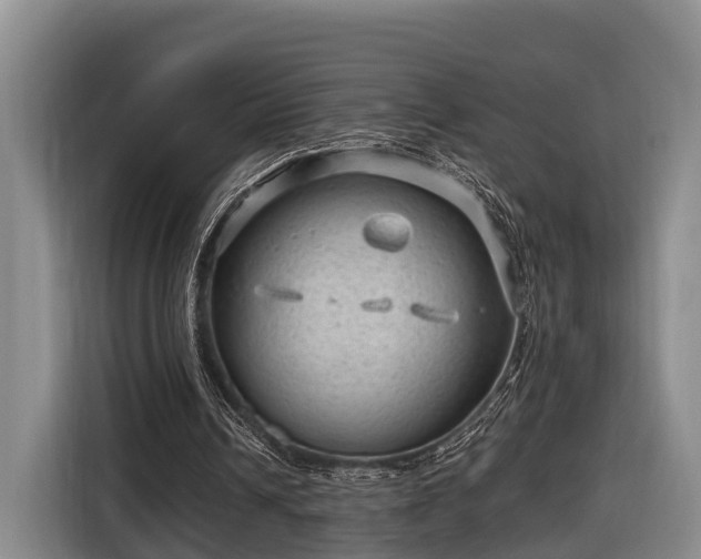 X0000116810242200912241226