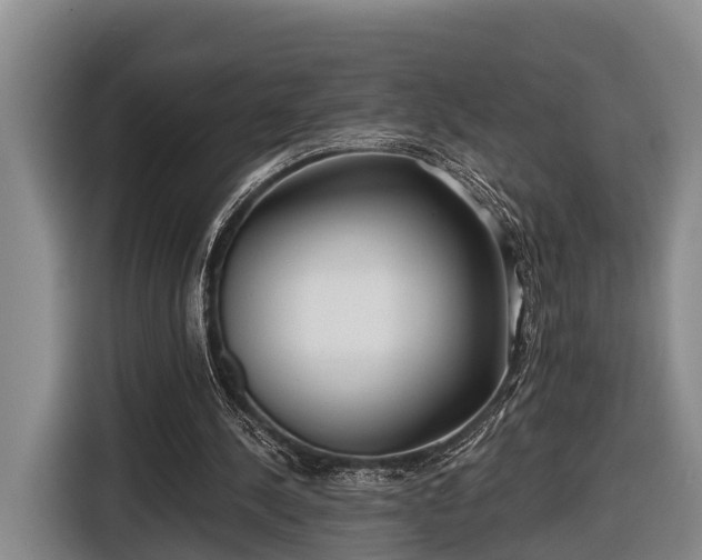 X0000116810244200912241226