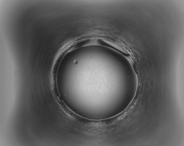 X0000116810245200912241226