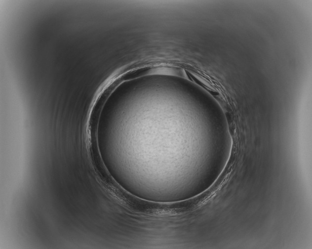 X0000116810246200912241226