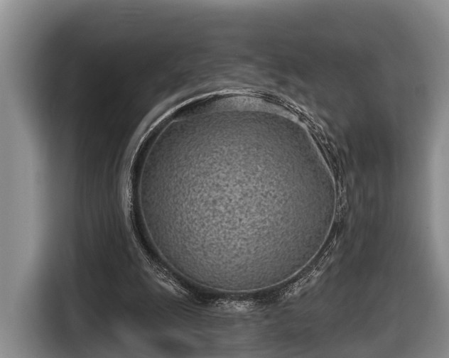 X0000116810247200912241226