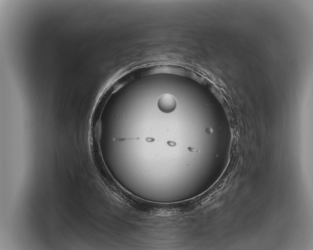 X0000116810248200912241226