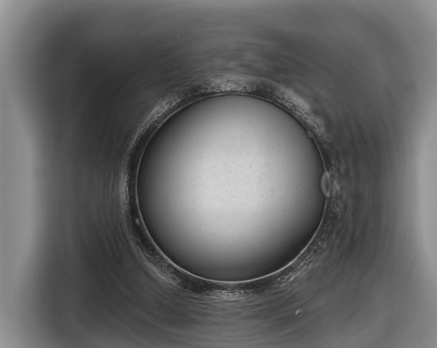 X0000116810250200912241226