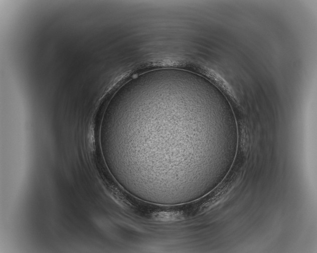 X0000116810251200912241226