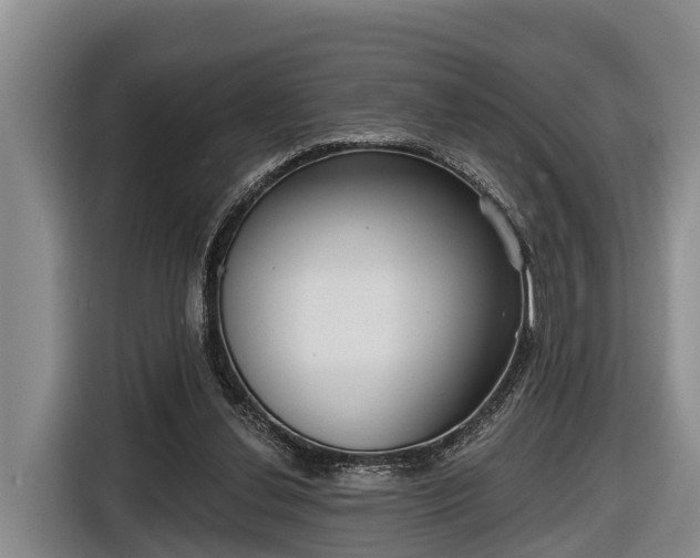 X0000116810252200912241226