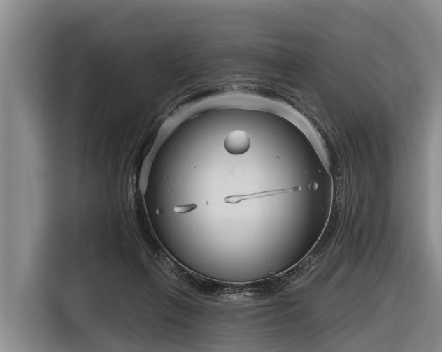 X0000116810263200912241227