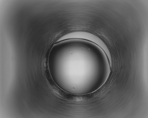 X0000116810264200912241227