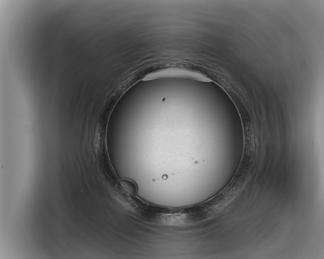 X0000116810266200912241227